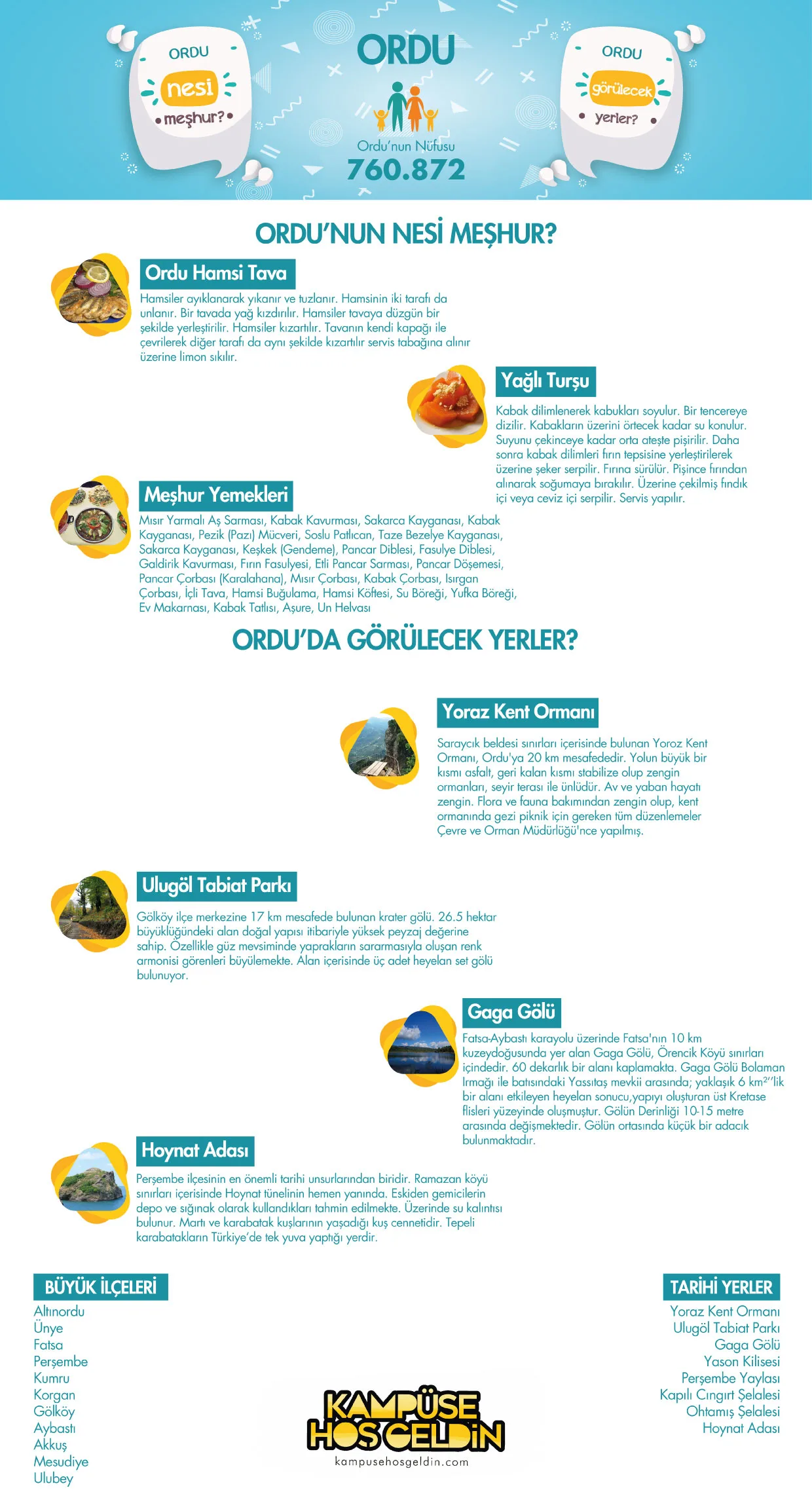 Ordu nesi meşhur? — infografik