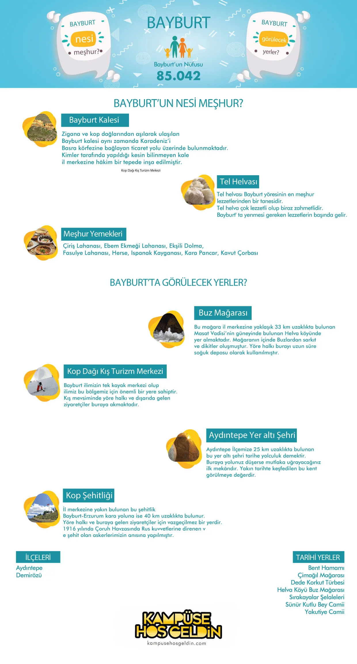 Bayburt nesi meşhur? — infografik