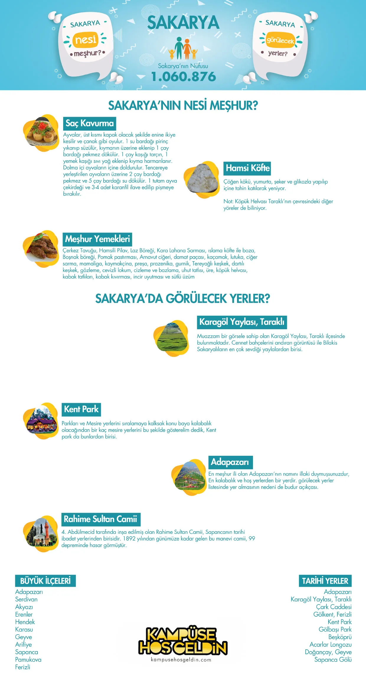 Sakarya nesi meşhur? — infografik