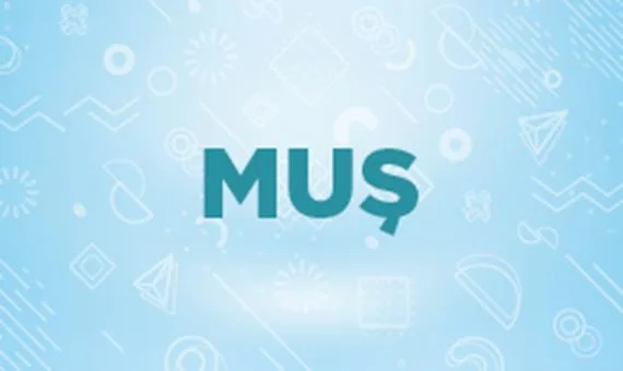 Muş