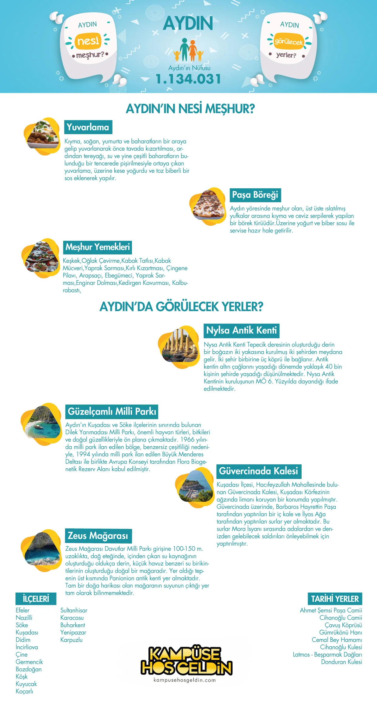 Aydın nesi meşhur? — infografik